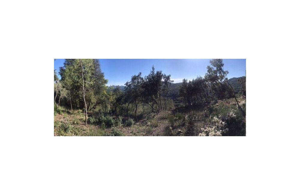 Vente terrain LE TIGNET Alpes-Maritimes