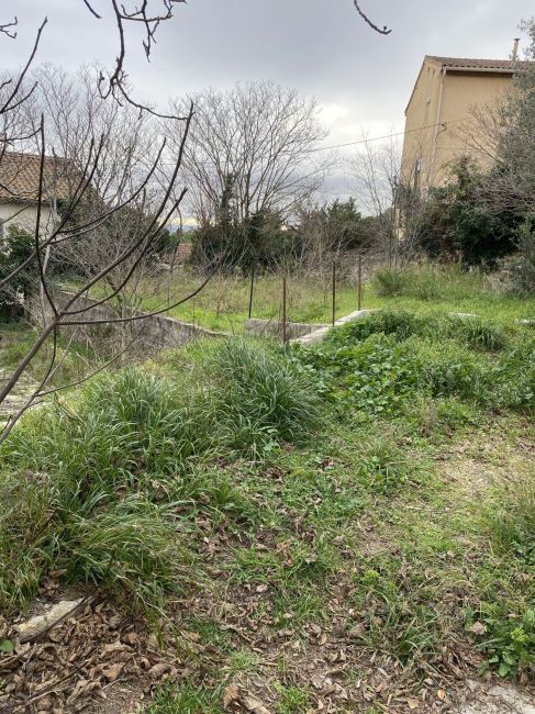 Vente terrain SEPTEMES-LES-VALLONS Bouches-du-Rhône