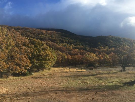 Vente terrain + maison AIGUINES Var
