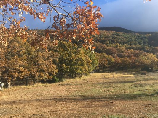 Vente terrain + maison AIGUINES Var