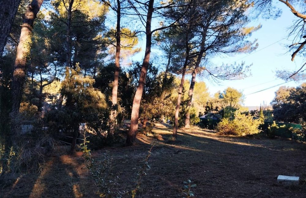 Vente terrain LA BASTIDE-DES-JOURDANS Vaucluse