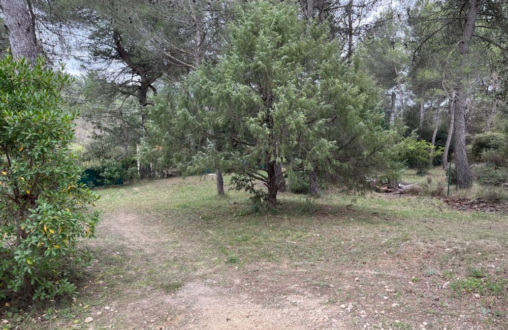 Vente terrain LA BASTIDE-DES-JOURDANS Vaucluse