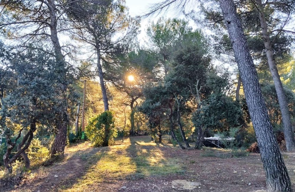 Vente terrain LA BASTIDE-DES-JOURDANS Vaucluse
