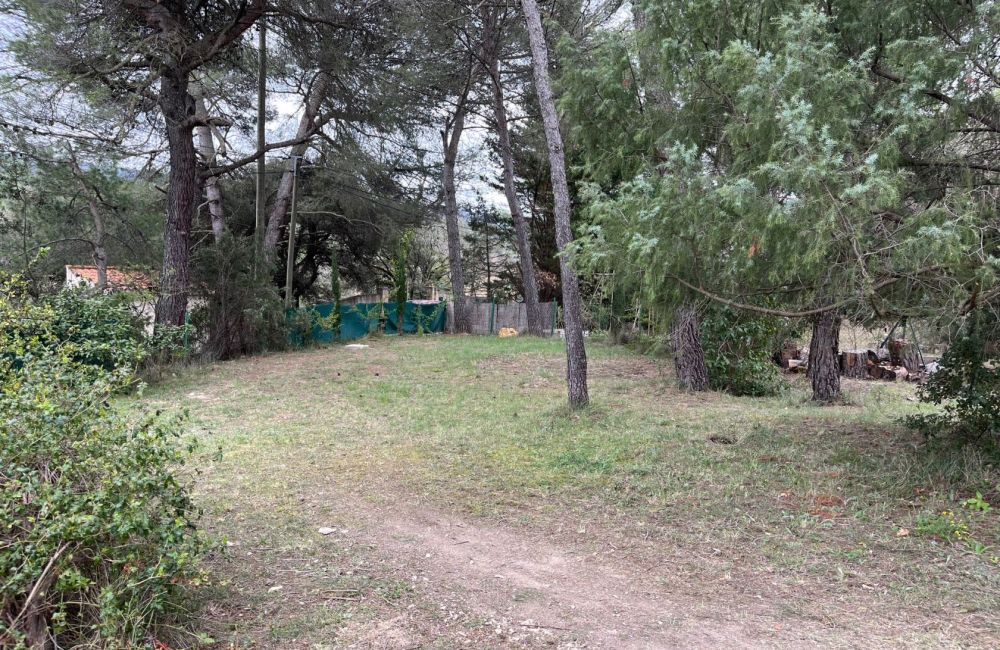 Vente terrain LA BASTIDE-DES-JOURDANS Vaucluse
