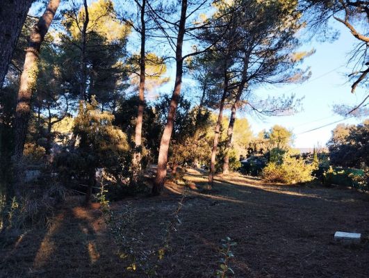 Vente terrain LA BASTIDE-DES-JOURDANS Vaucluse