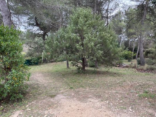 Vente terrain LA BASTIDE-DES-JOURDANS Vaucluse