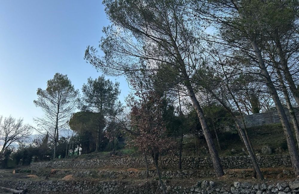 Vente terrain GRASSE Alpes-Maritimes