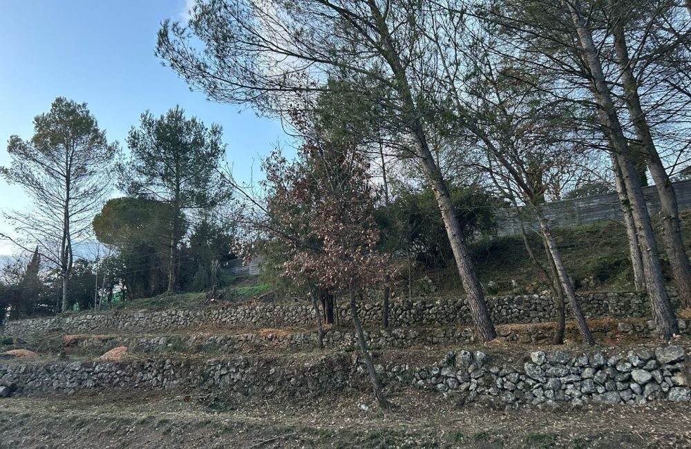 Vente terrain GRASSE Alpes-Maritimes
