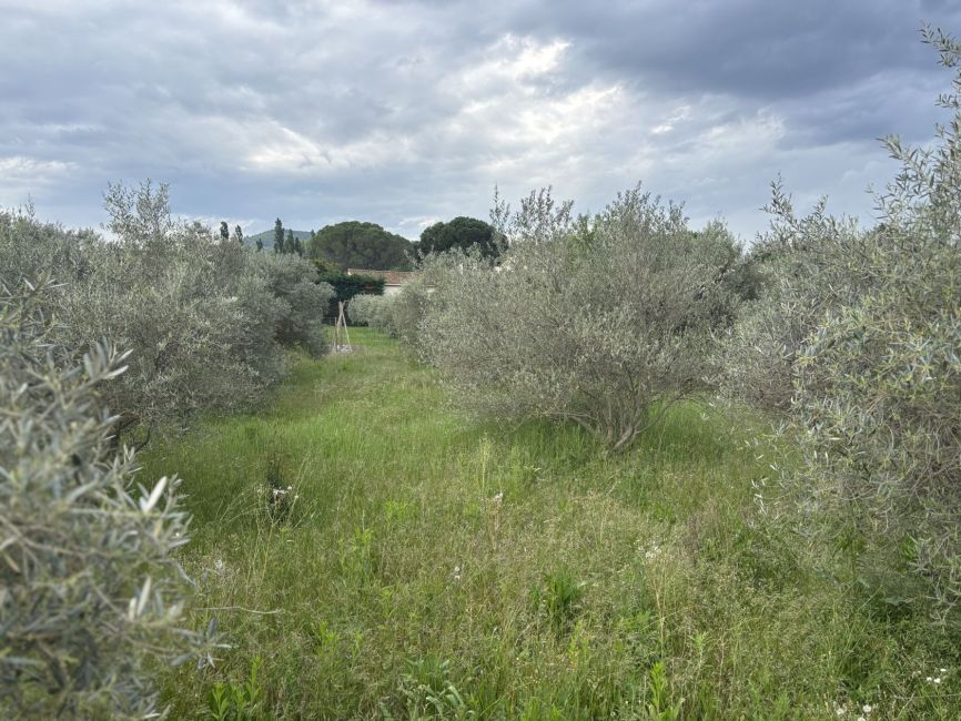 Vente terrain MALLEMORT Bouches-du-Rhône