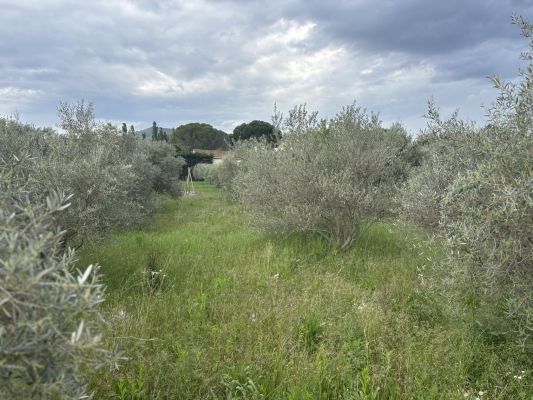 Vente terrain MALLEMORT Bouches-du-Rhône