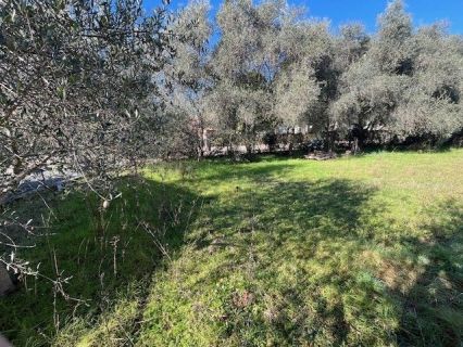 Vente terrain GRASSE Alpes-Maritimes