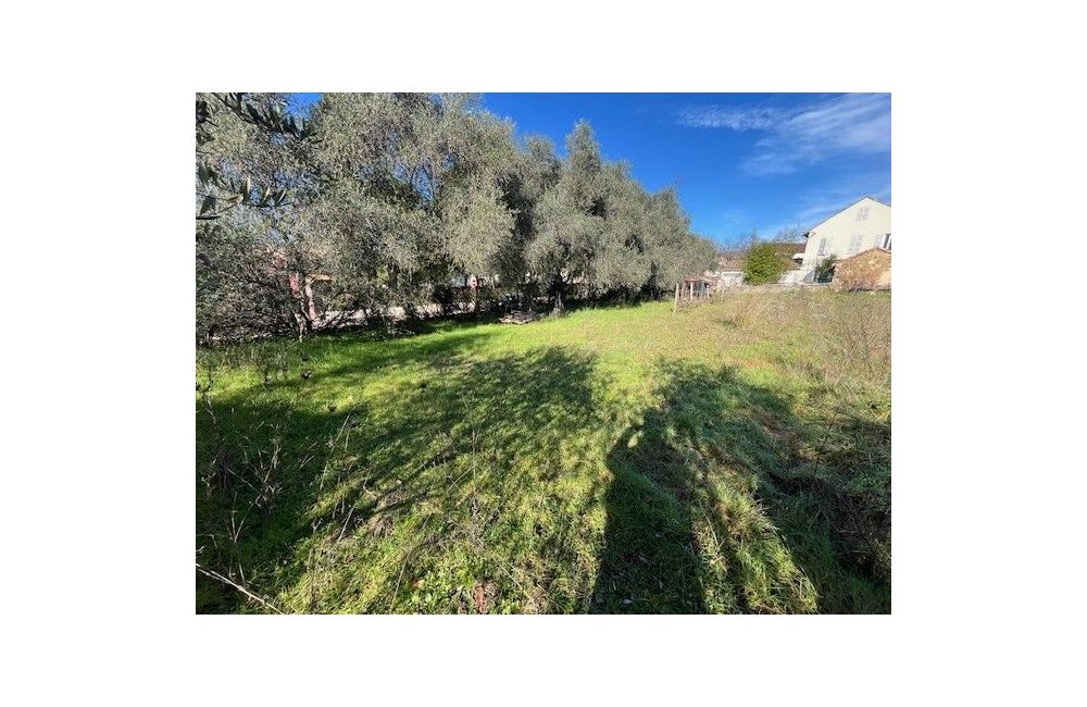 Vente terrain GRASSE Alpes-Maritimes