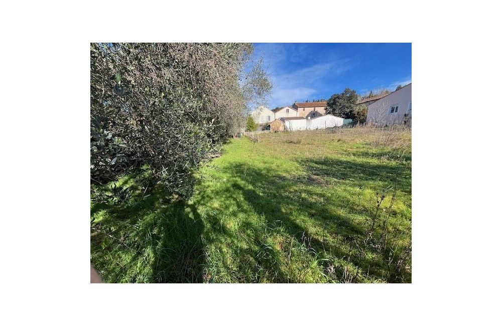 Vente terrain GRASSE Alpes-Maritimes