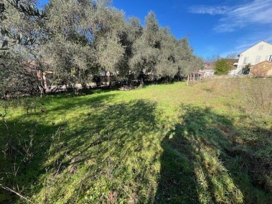 Vente terrain GRASSE Alpes-Maritimes