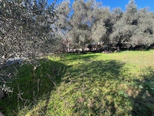 Vente terrain GRASSE Alpes-Maritimes