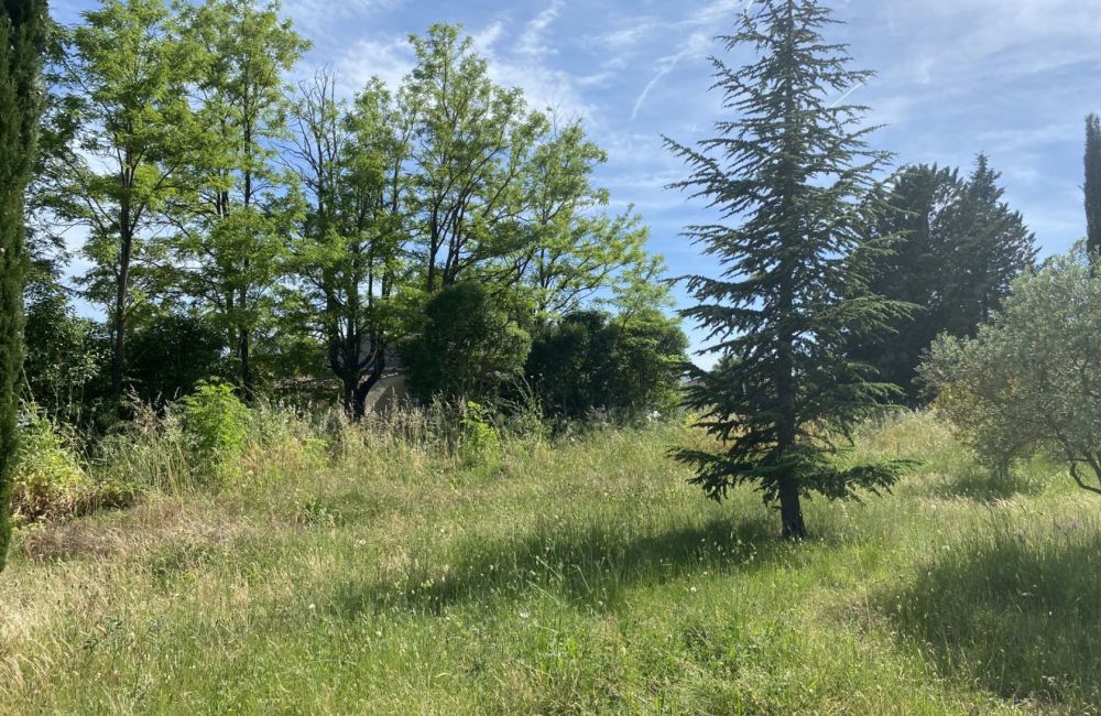 Vente terrain + maison FORCALQUEIRET Var