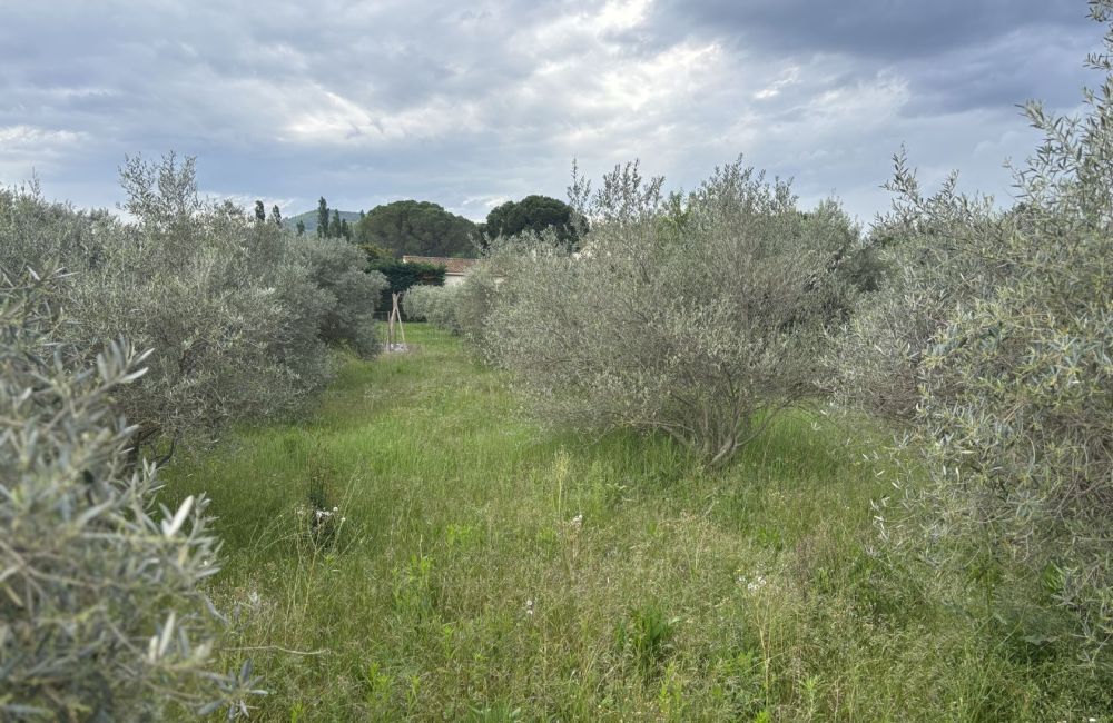 Vente terrain + maison MALLEMORT Bouches-du-Rhône