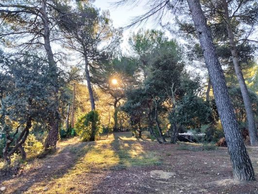 Vente terrain LA BASTIDE-DES-JOURDANS Vaucluse