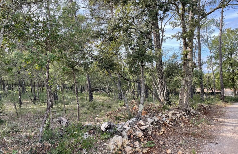Vente terrain + maison LE THORONET Var