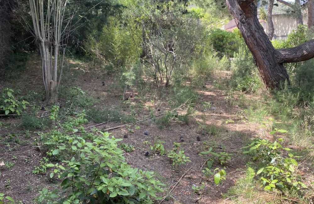 Vente terrain + maison LE ROVE Bouches-du-Rhône