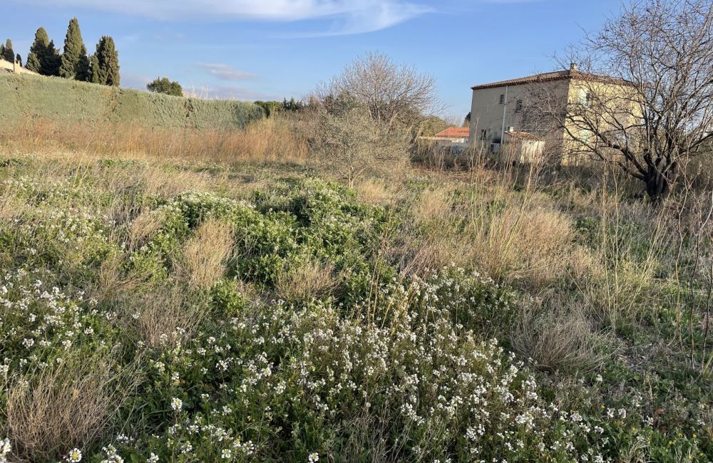 Vente terrain + maison BERRE-L'ETANG Bouches-du-Rhône