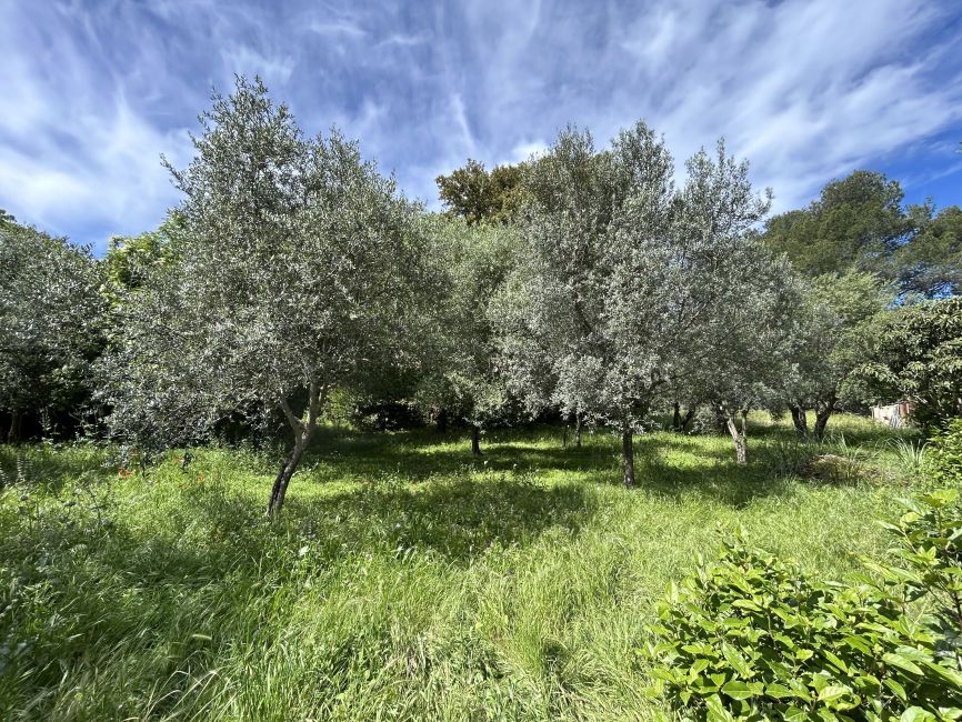 Vente terrain DRAGUIGNAN Var