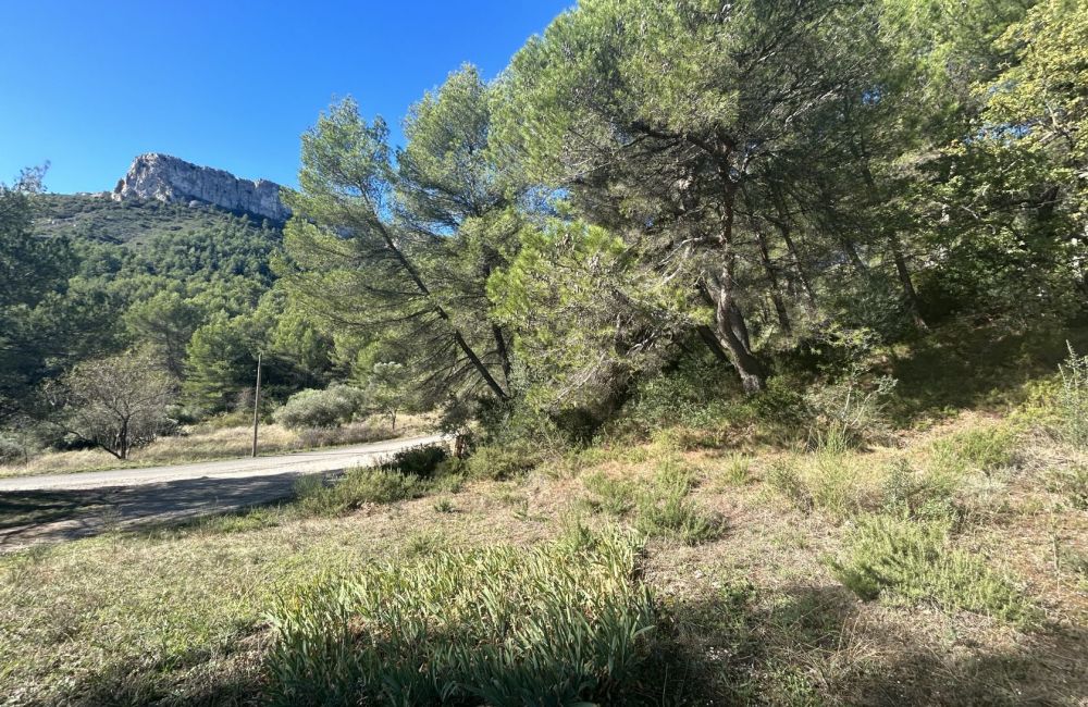 Vente terrain + maison CADOLIVE Bouches-du-Rhône