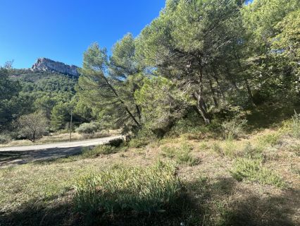 Vente terrain CADOLIVE Bouches-du-Rhône