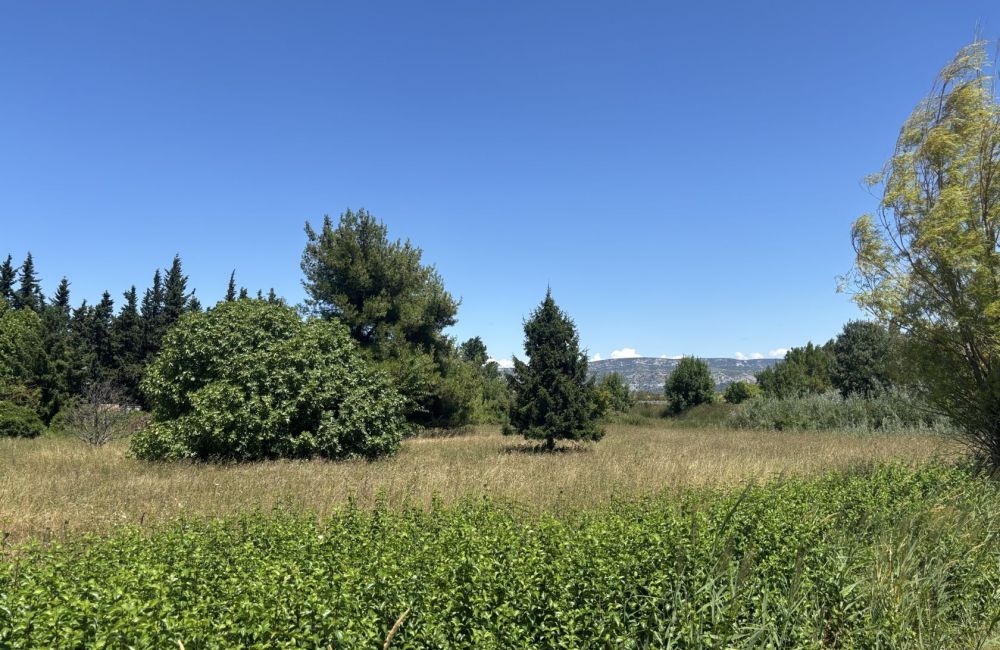 Vente terrain SENAS Bouches-du-Rhône