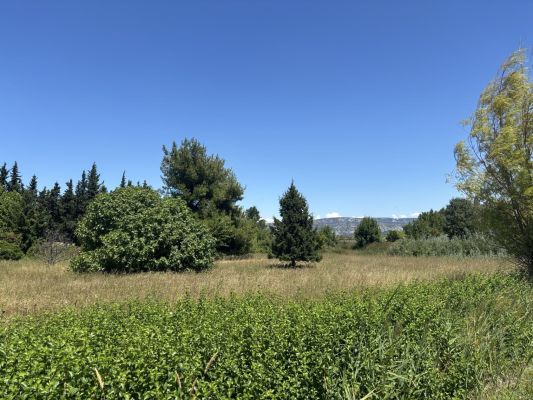 Vente terrain SENAS Bouches-du-Rhône
