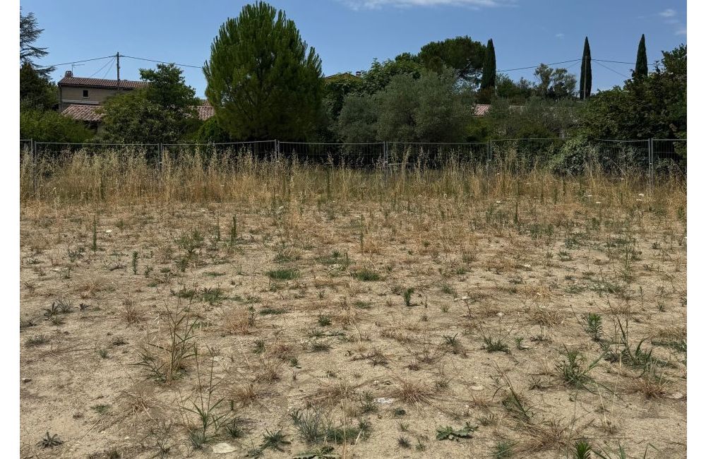 Vente terrain PIERREVERT Alpes-de-Haute-Provence