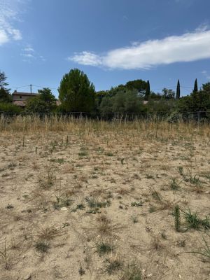 Vente terrain PIERREVERT Alpes-de-Haute-Provence