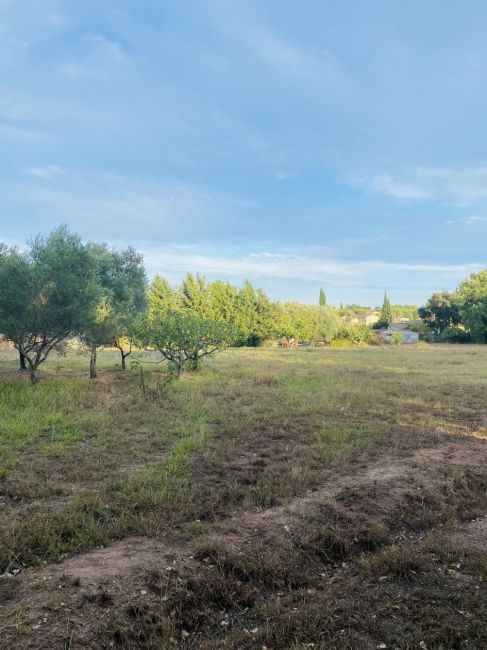 Vente terrain PUGET-SUR-ARGENS Var