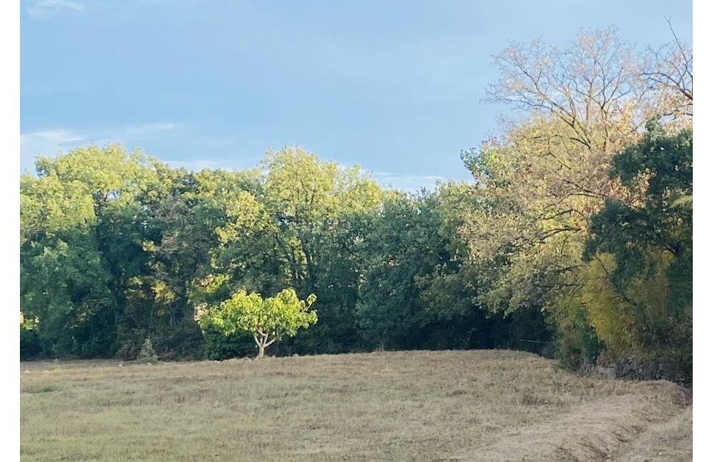 Vente terrain PUGET-SUR-ARGENS Var