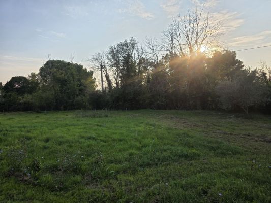 Vente terrain VENELLES Bouches-du-Rhône