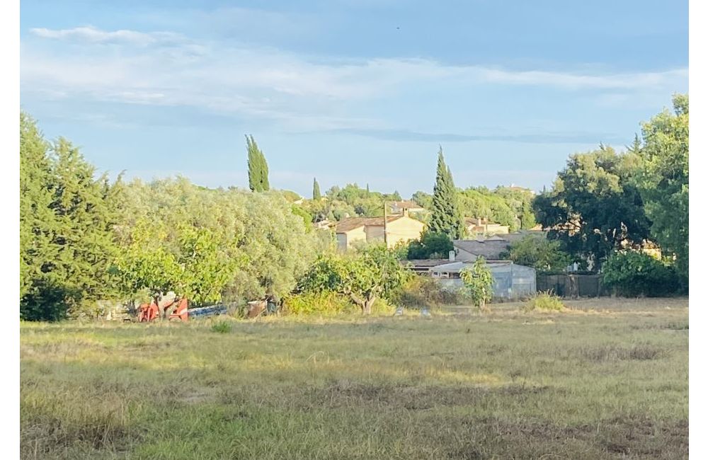 Vente terrain PUGET-SUR-ARGENS Var