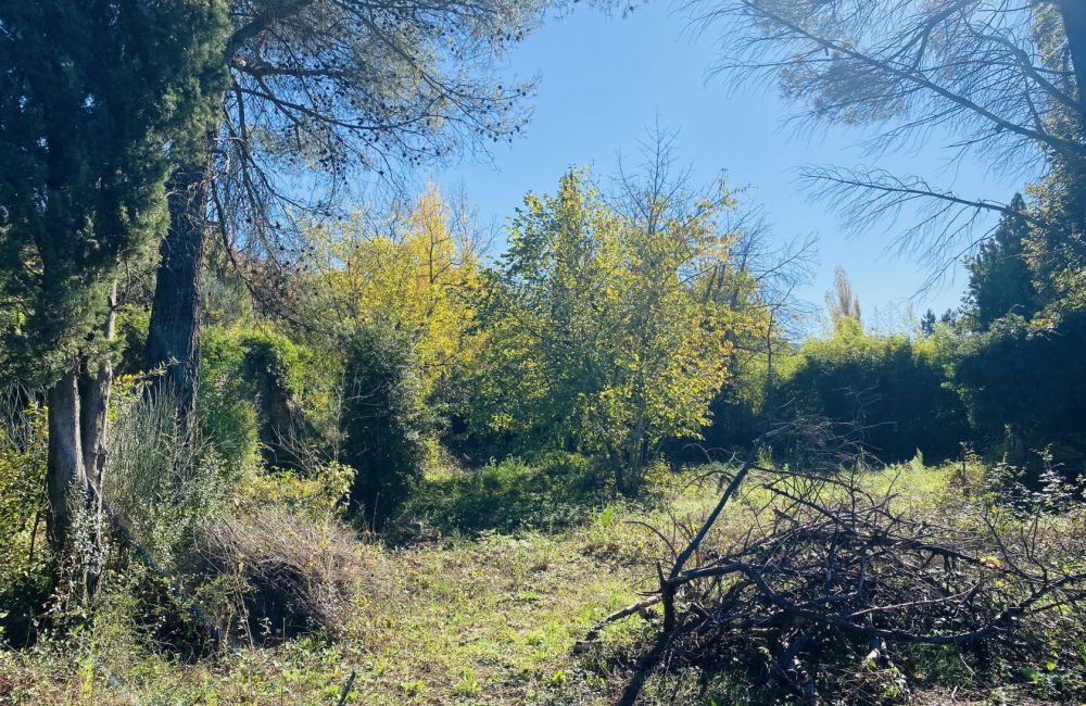 Vente terrain TOURVES Var