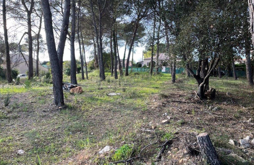 Vente terrain MOUGINS Alpes-Maritimes