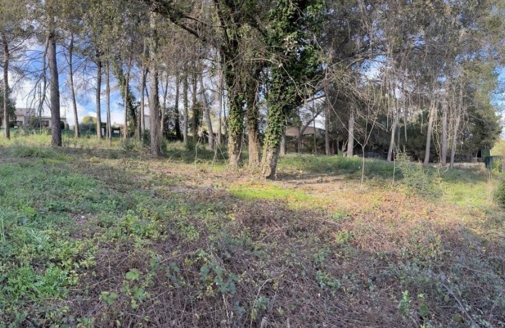 Vente terrain MOUGINS Alpes-Maritimes