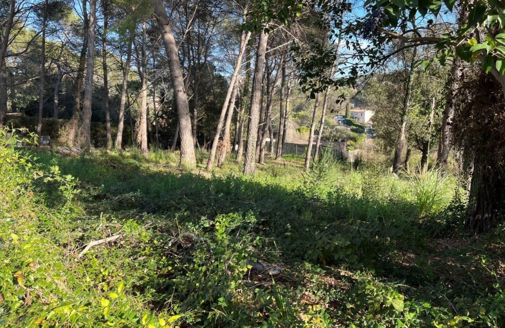 Vente terrain MOUGINS Alpes-Maritimes