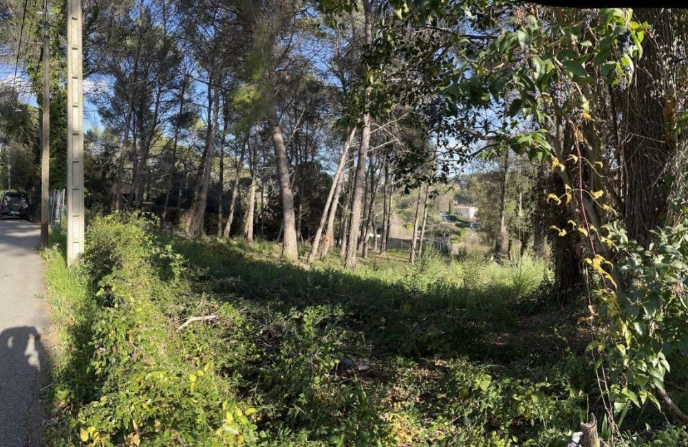 Vente terrain MOUGINS Alpes-Maritimes