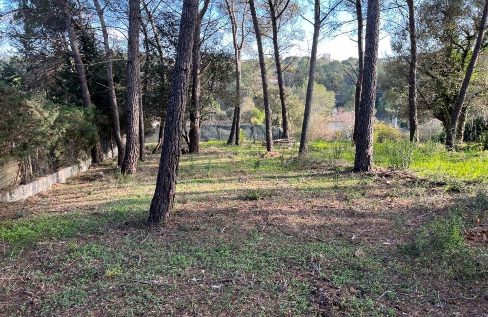 Vente terrain MOUGINS Alpes-Maritimes