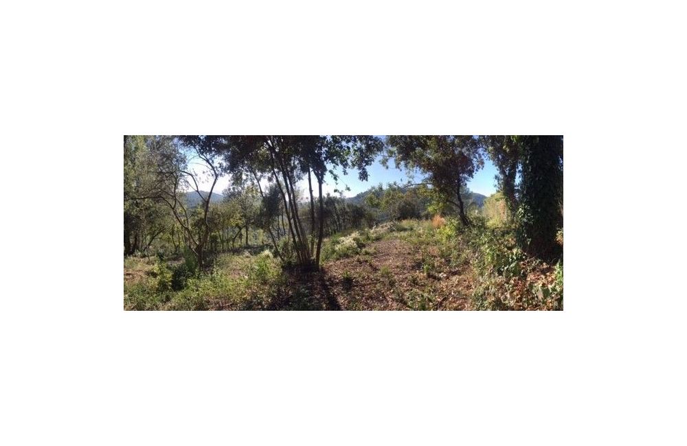 Vente terrain LE TIGNET Alpes-Maritimes