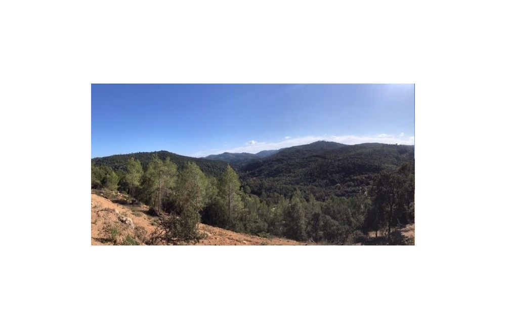 Vente terrain LE TIGNET Alpes-Maritimes