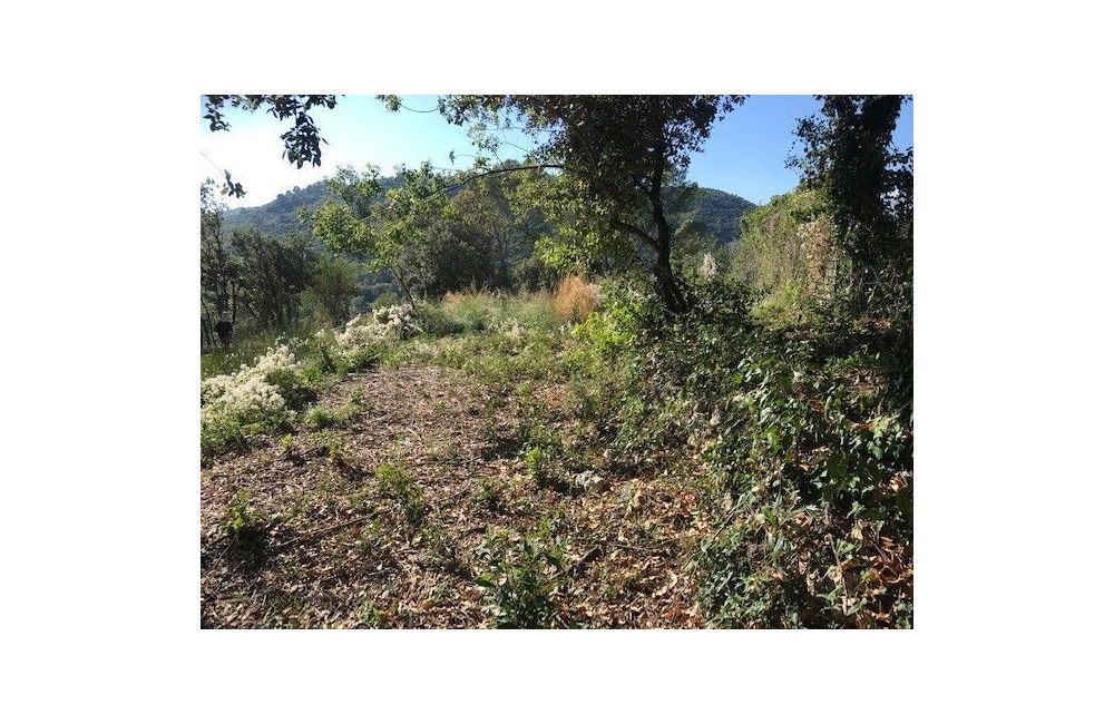 Vente terrain LE TIGNET Alpes-Maritimes