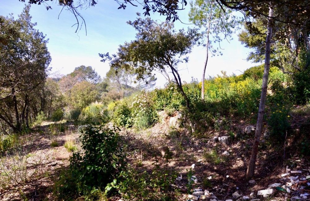 Vente terrain LE TIGNET Alpes-Maritimes