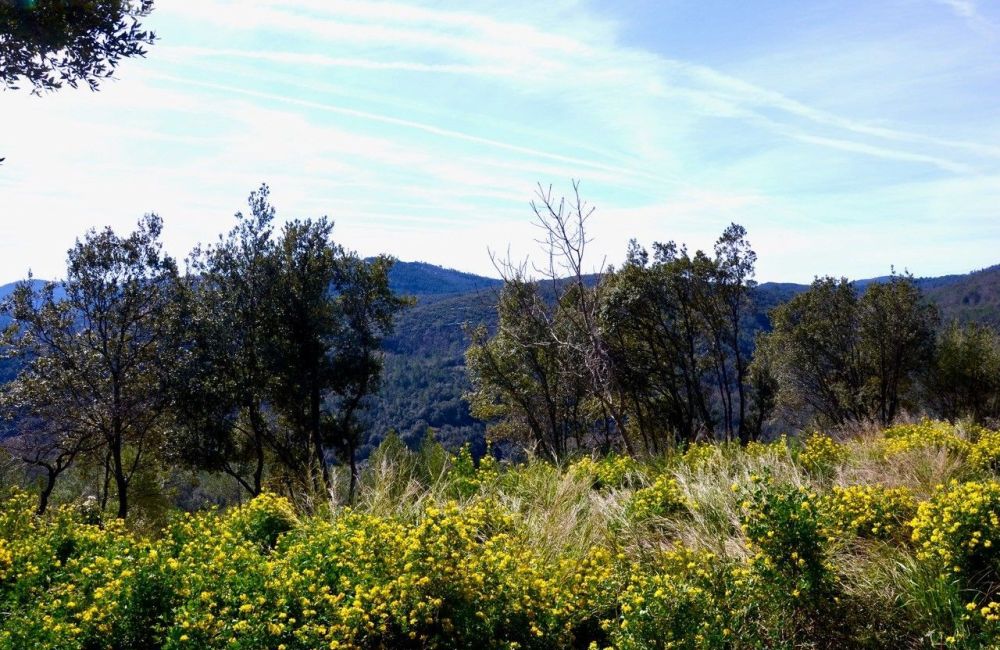 Vente terrain LE TIGNET Alpes-Maritimes