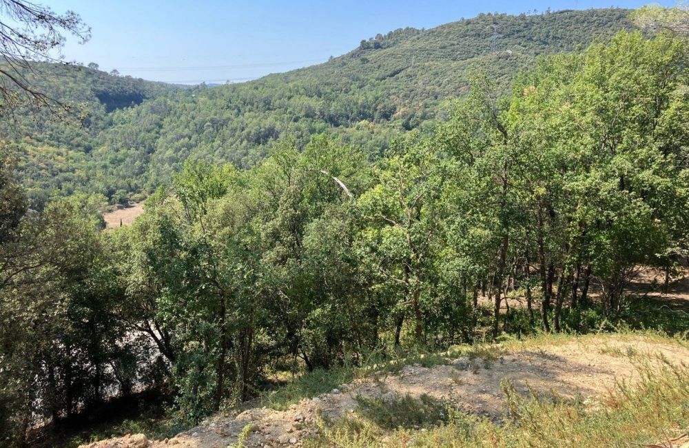 Vente terrain LE TIGNET Alpes-Maritimes