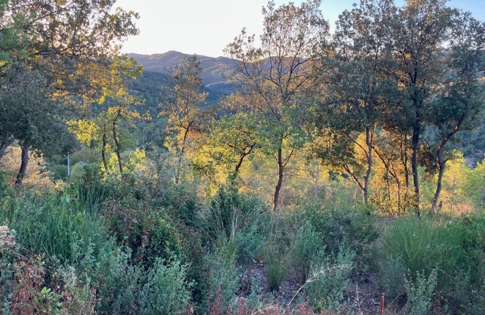 Vente terrain LE TIGNET Alpes-Maritimes