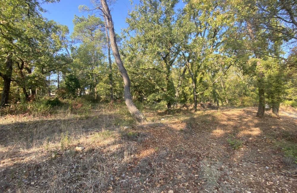 Vente terrain + maison CALLIAN Var